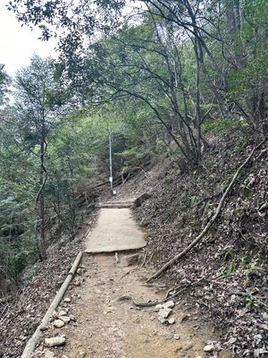 備中松山城
登るのが大変だった。