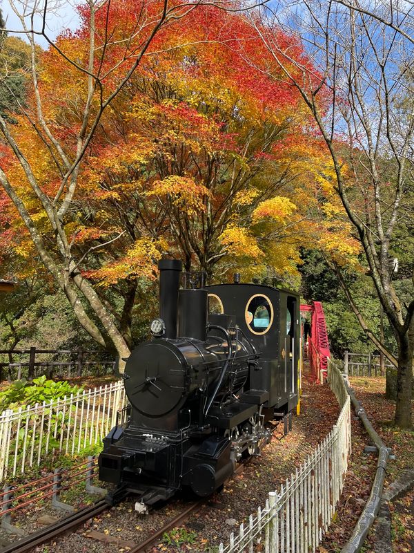 日本・道後温泉「道後温泉」の写真：マイントピア別子