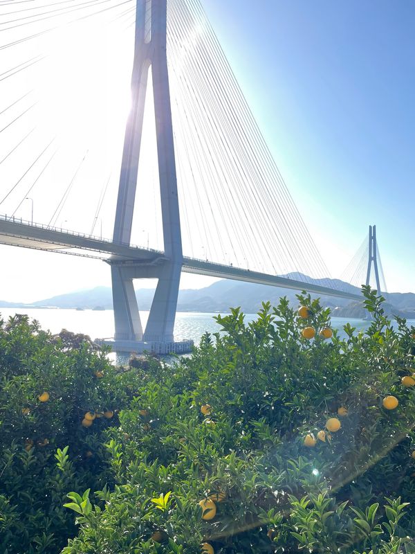 日本・道後温泉「道後温泉」の写真