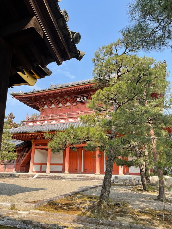 日本・京都府「日帰り京都」の写真：大徳寺
