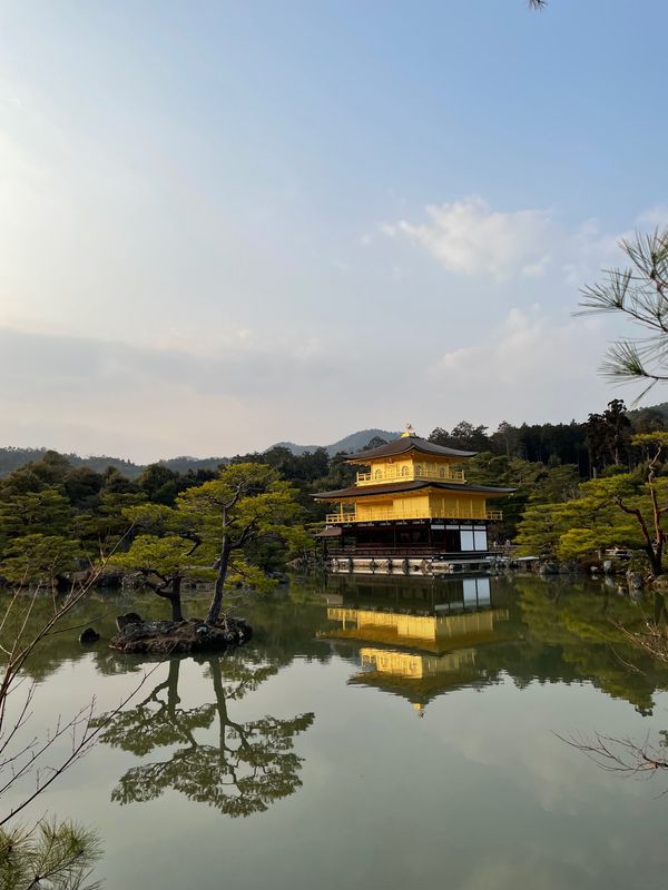 日本・京都府「日帰り京都」の写真：金閣寺