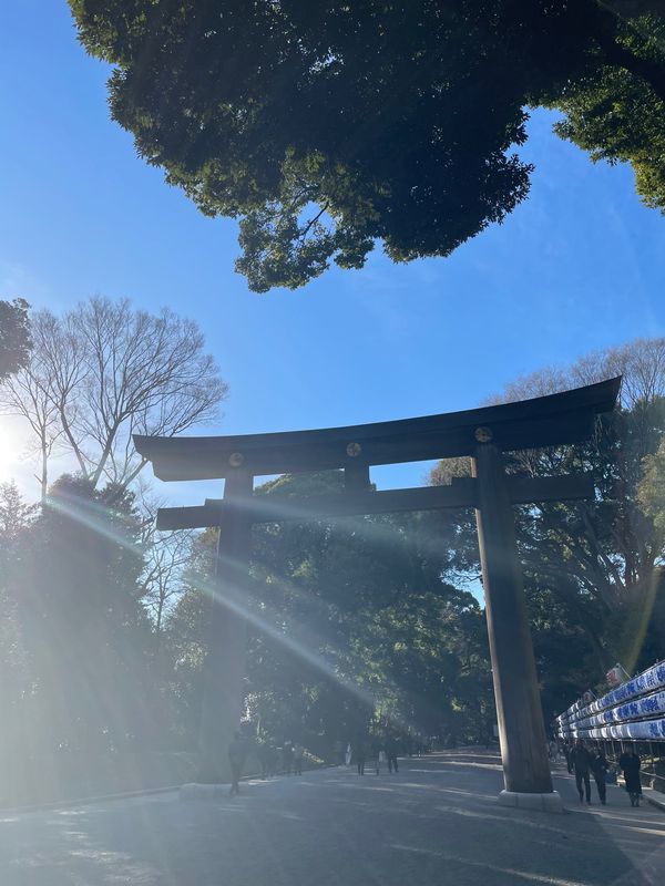 日本・東京都「東京へ」の写真：明治神宮