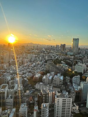 東京タワーから富士山🗻