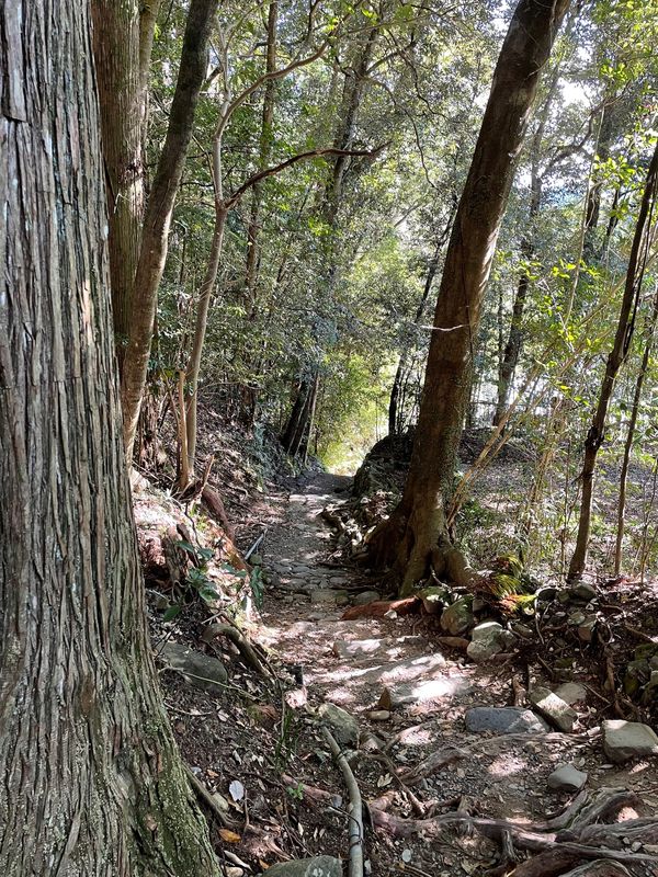 日本・アドベンチャーワールド「アドベンチャーワールド 熊野古道 世界遺産の旅」の写真：熊野本宮大社