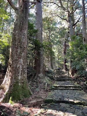 熊野那智大社