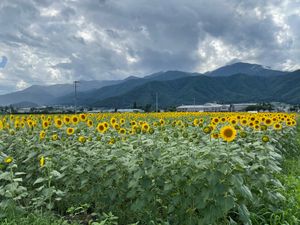 穂高温泉 豪商の宿