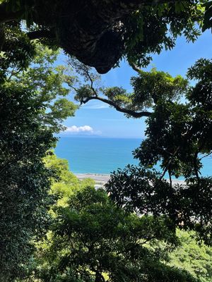 久能山東照宮。徳川家康のお墓。