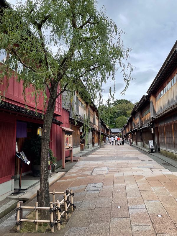 日本・石川県「富山～石川 温泉旅」の写真：ひがし茶屋街