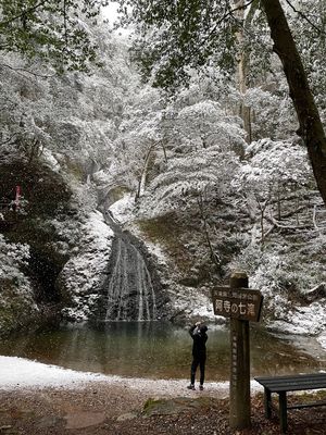 阿寺の七滝