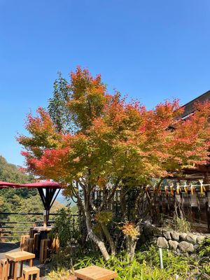 九重 夢の大吊橋