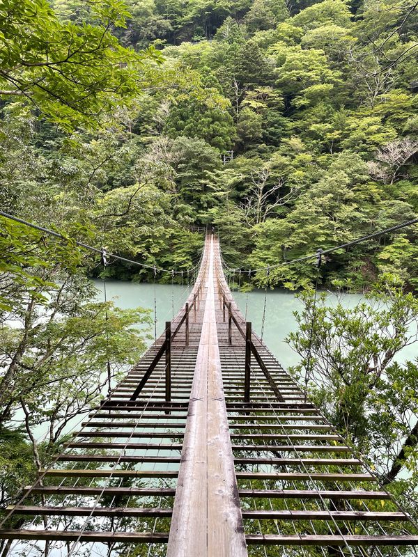 日本・静岡県「寸又峡」の写真：夢の吊橋