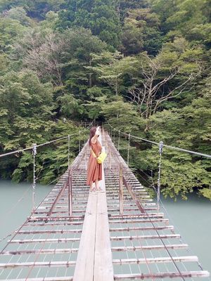 夢の吊橋