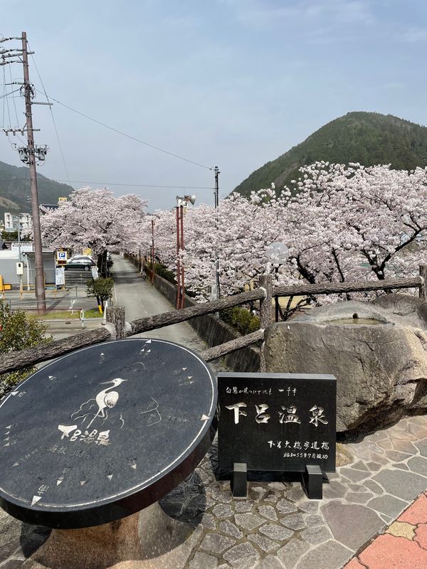 日本・下呂温泉「下呂温泉」の写真