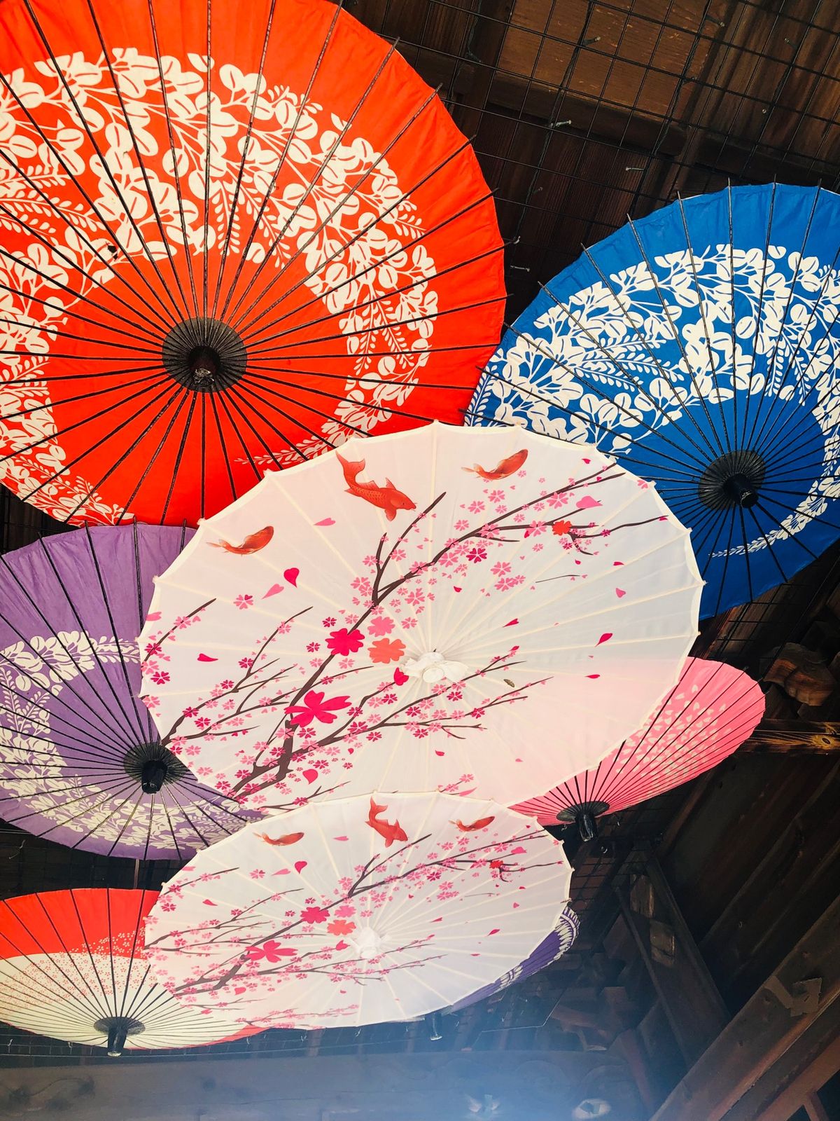 鬼門神社⛩
スサノオが祀られている場所
疫病・厄除け
