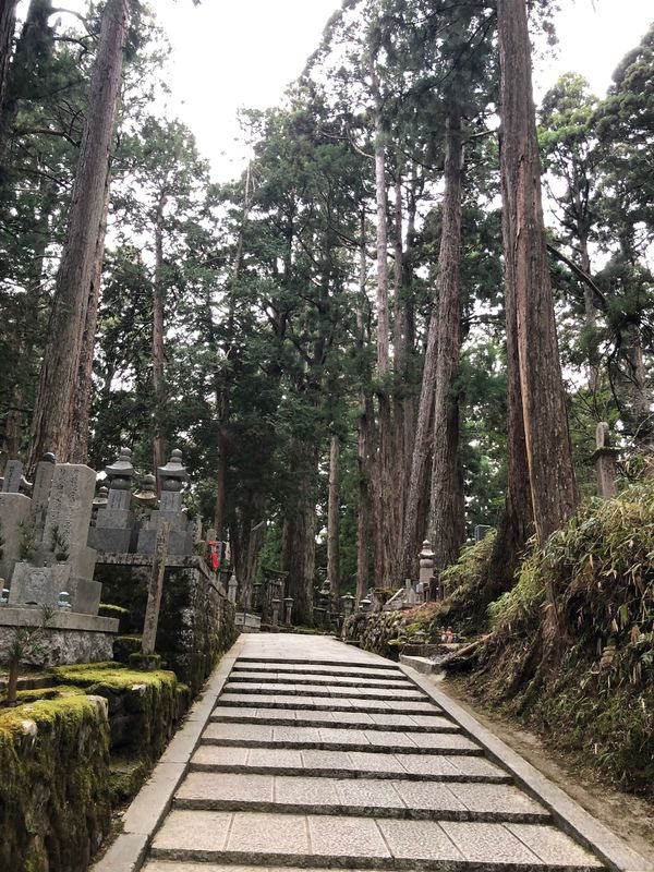 日本・和歌山県「高野山 宿坊」の写真：宿坊
