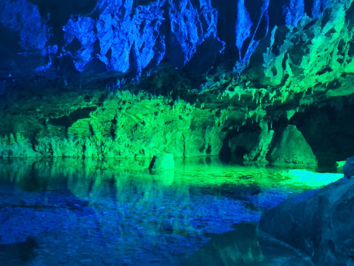 高さが凄い鍾乳洞
探検感が沢山あった！