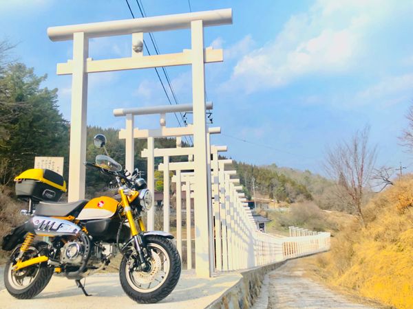 日本・岡山県「新見観光」の写真：白の鳥居がすごく綺麗
紫陽花の咲く時期は...