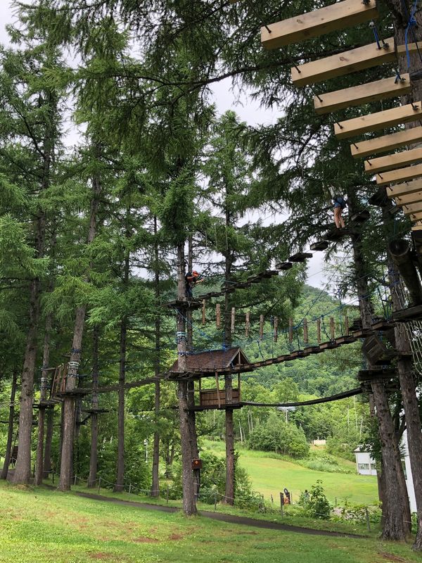 日本・函館「函館  湯の川温泉 ニセコ」の写真：ニセコでジップライン