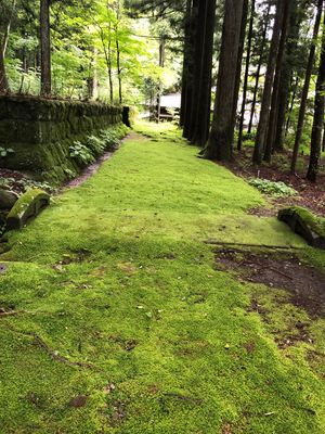 光苔の寺 光前寺