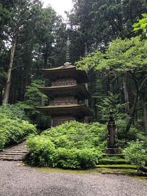 光苔の寺 光前寺