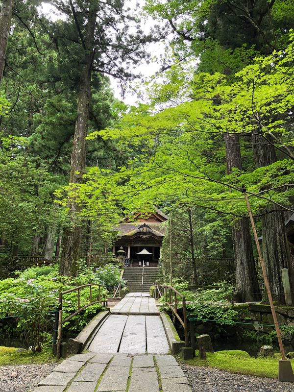 日本・長野県「長野 お墓参り 善光寺 蓼科温泉」の写真：光苔の寺 光前寺