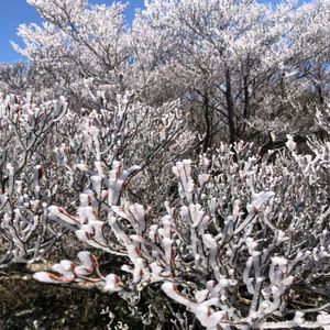 コロナ禍ですが、温泉で宿題を…(笑)