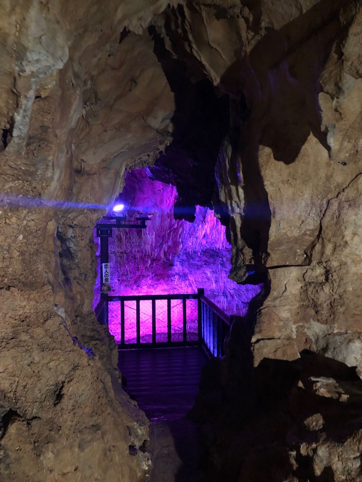 色鮮やかなライトアップが綺麗
歩きやすかった🐾