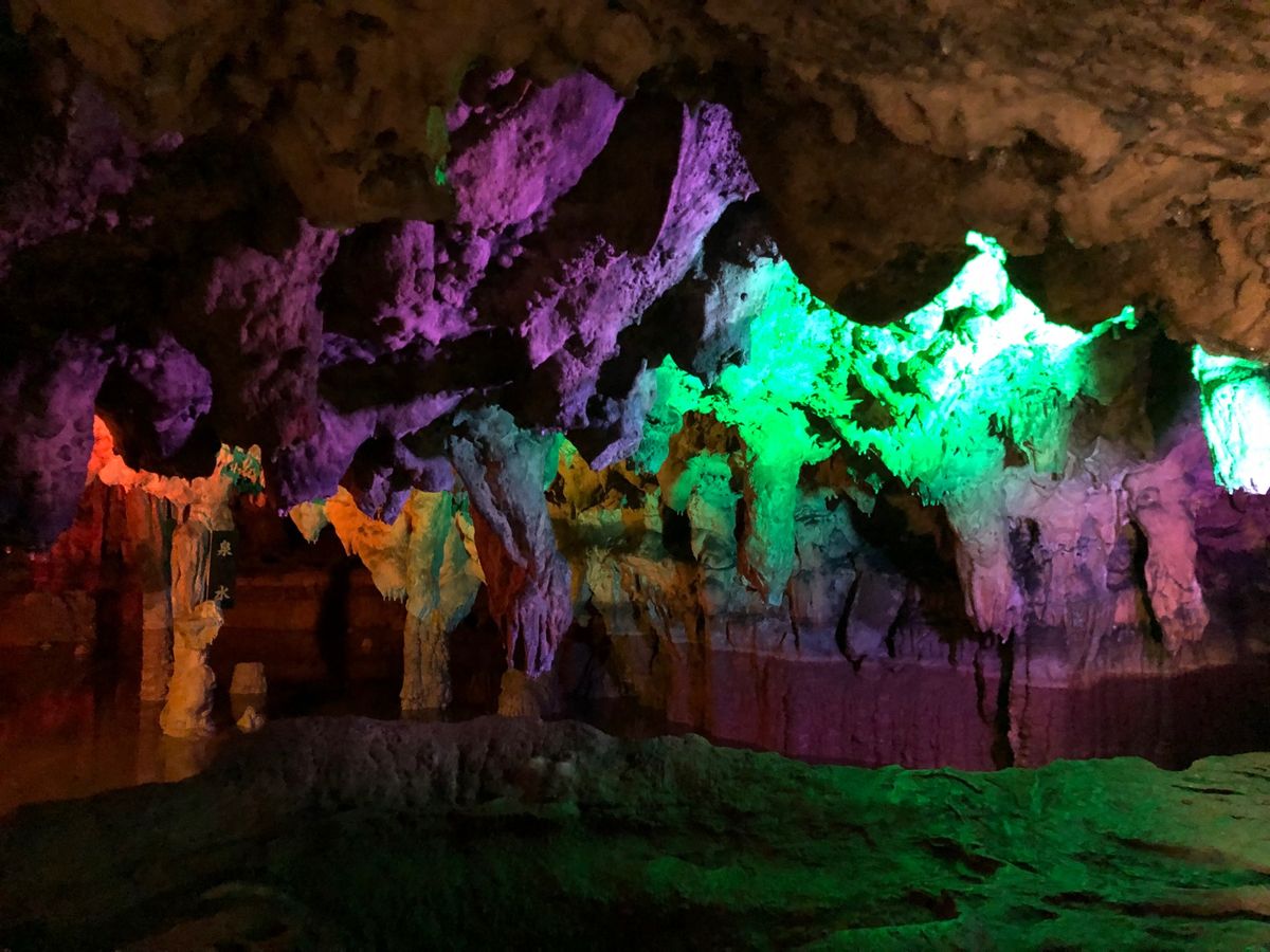 色鮮やかなライトアップが綺麗
歩きやすかった🐾