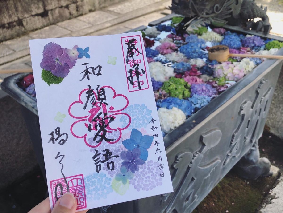 紫陽花が綺麗だった😍