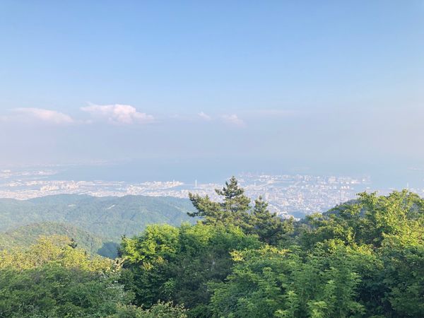 日本・六甲山「六甲山」の写真：ひつじのショーンエリアも散策🐑