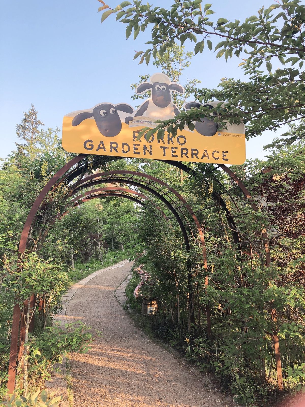 ひつじのショーンエリアも散策🐑
