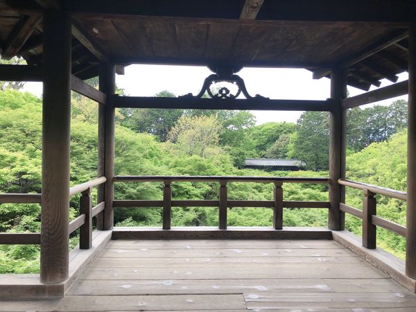 日本・京都府「京都 神社仏閣巡り」の写真：東福寺