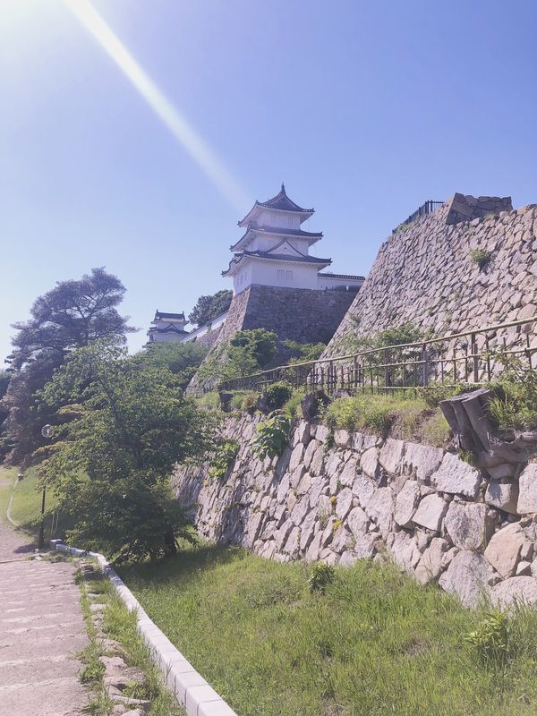 日本・兵庫県「兵庫県 明石」の写真：明石焼き美味しかった🤤