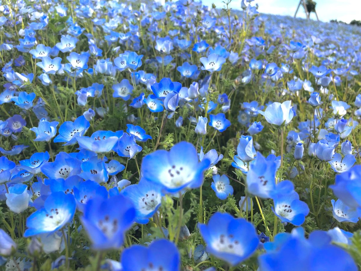 カップルばっかりの中1人で散策‼️