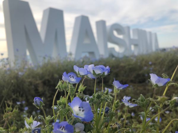 日本・舞浜「大阪ドライブ🚗」の写真：カップルばっかりの中1人で散策‼️