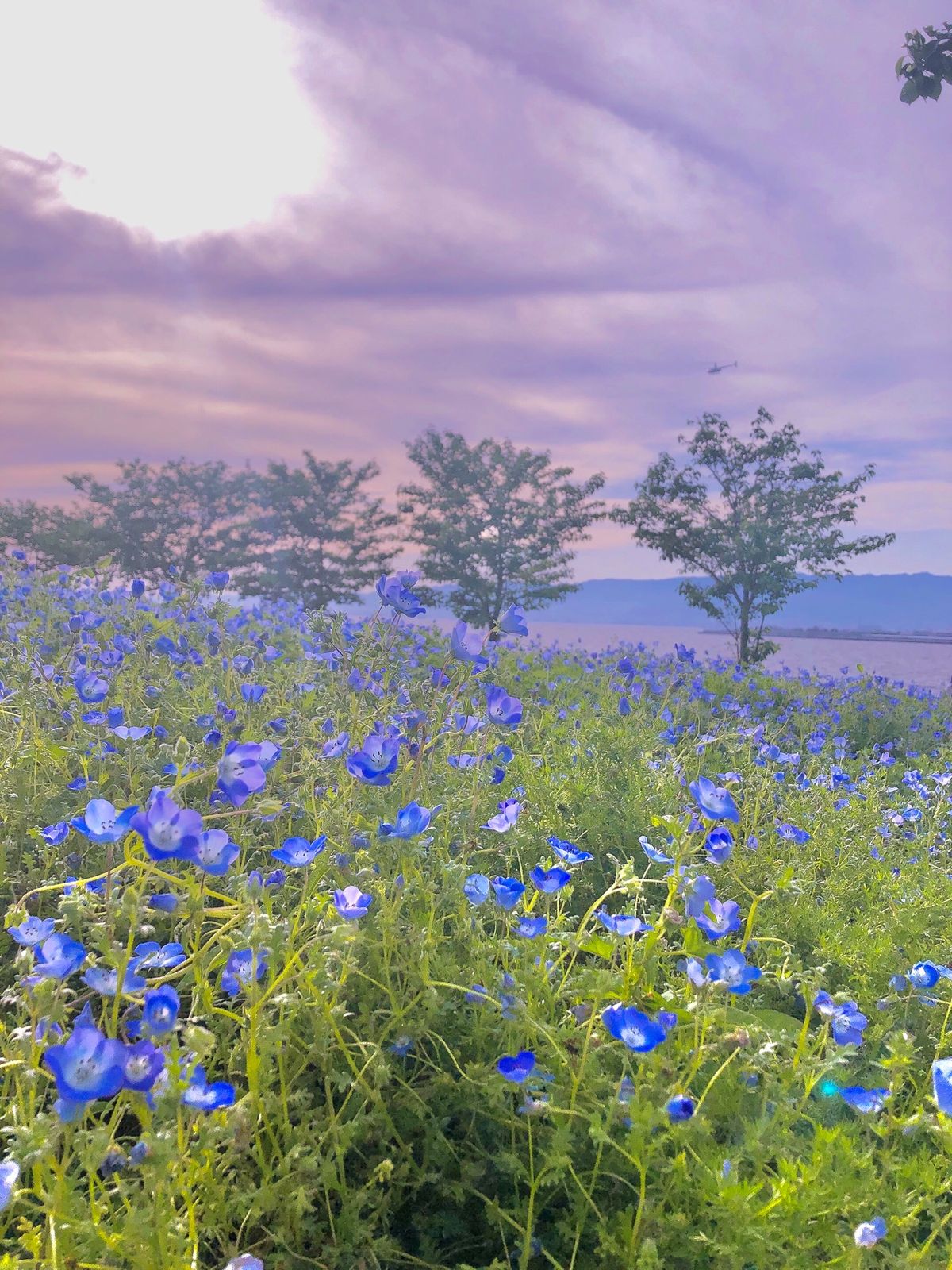 カップルばっかりの中1人で散策‼️