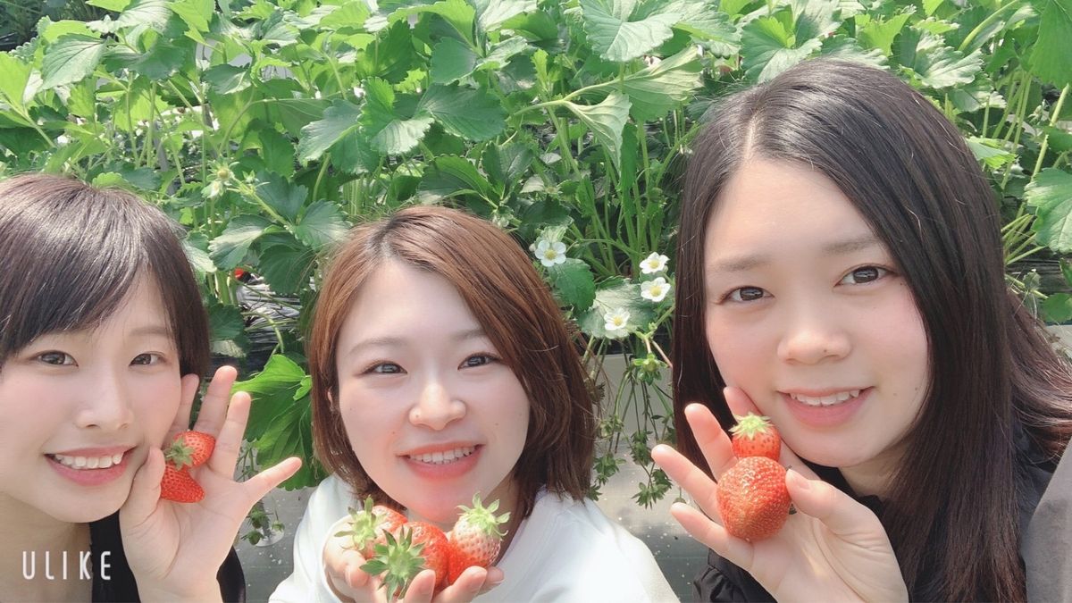  いちご狩り🍓