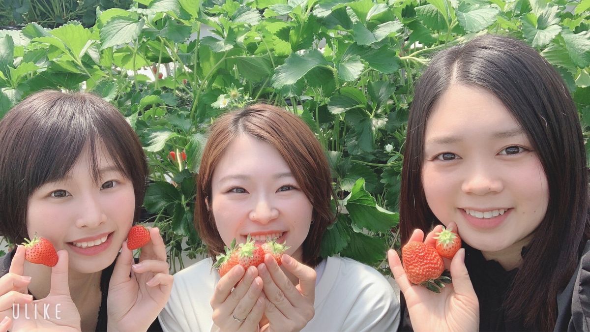  いちご狩り🍓