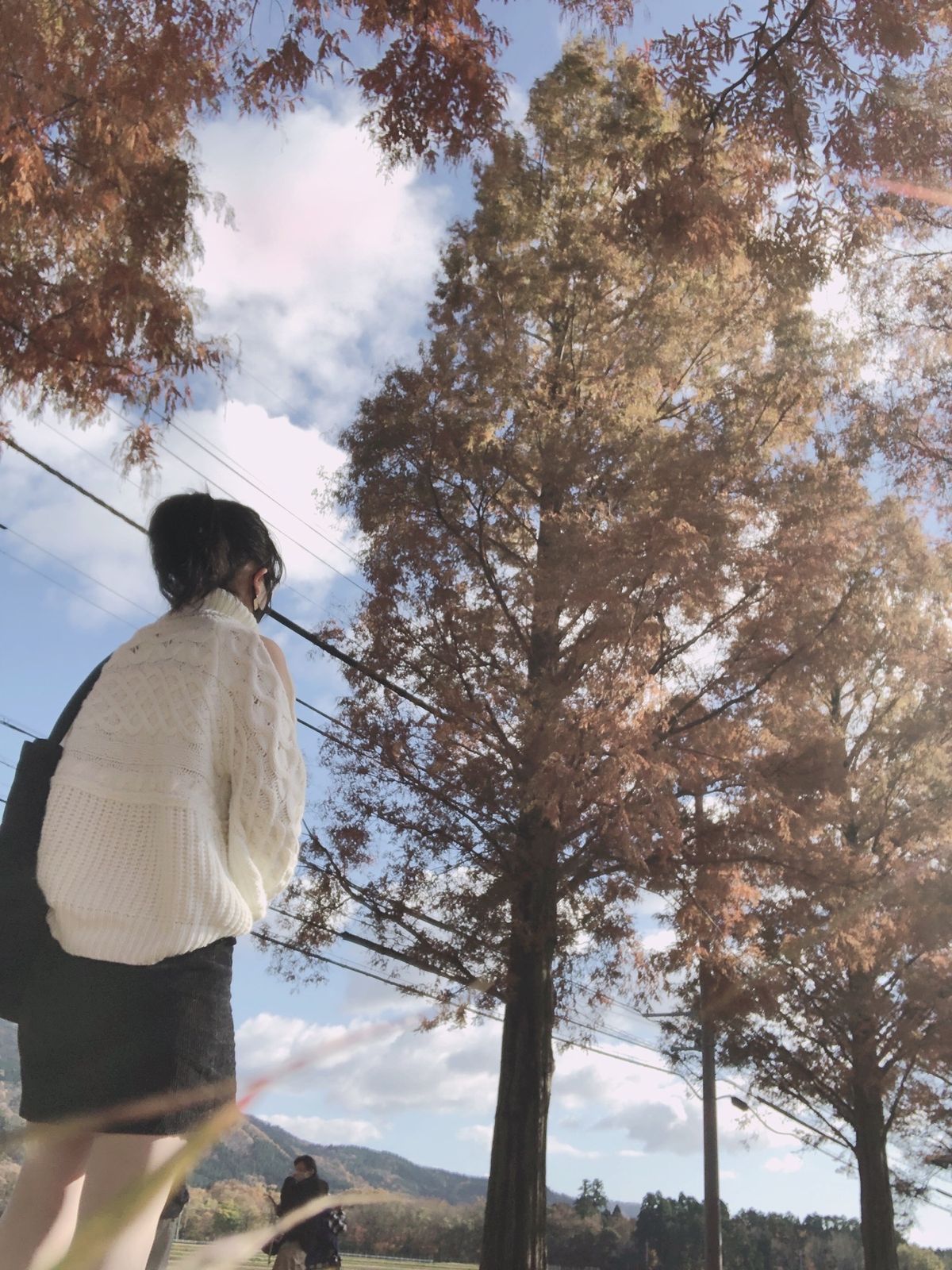 メタセコイア並木道
12月でいい感じだった✨