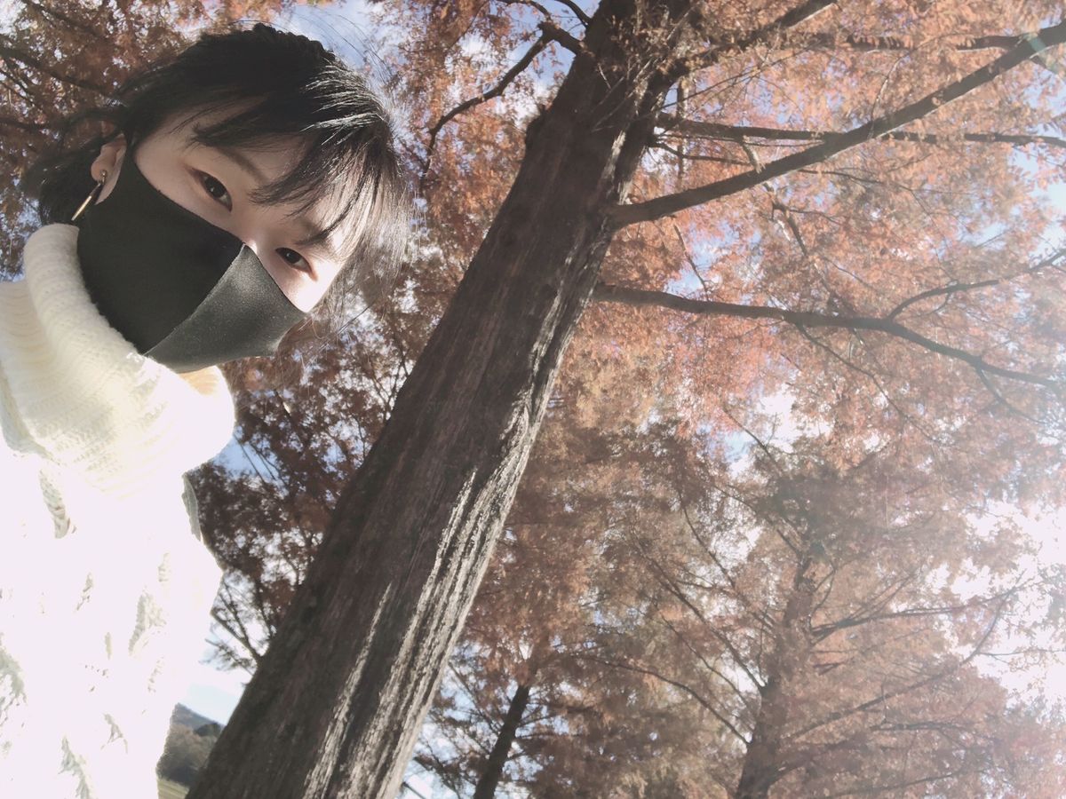 メタセコイア並木道
12月でいい感じだった✨