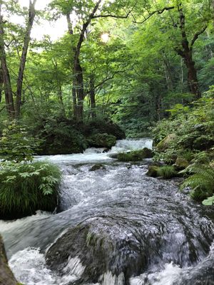 奥入瀬渓流