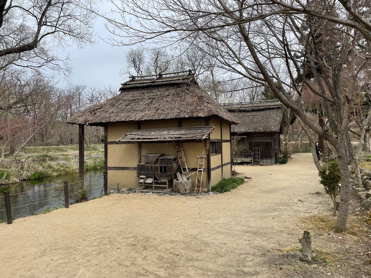 穂高でくるまやの蕎麦を堪能。大王わさび農園で映画の舞台にもなった水車小屋を...