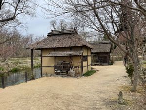 穂高でくるまやの蕎麦を堪能。大王わさび農園で映画の舞台にもなった水車小屋を...