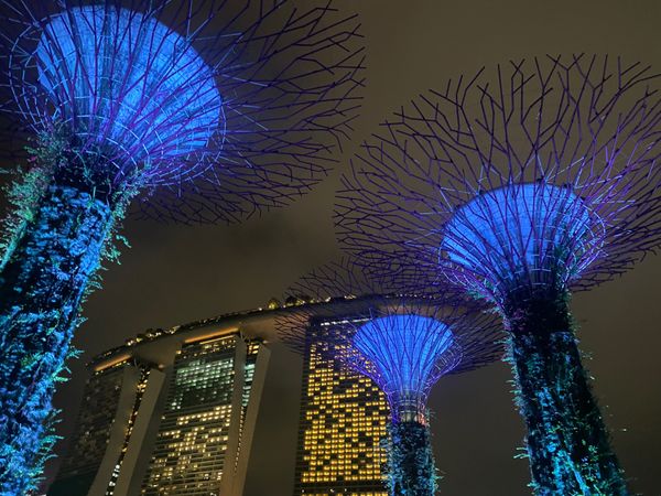 シンガポール「シンガポール」の写真