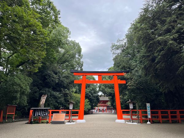 日本・京都府「母娘旅行」の写真