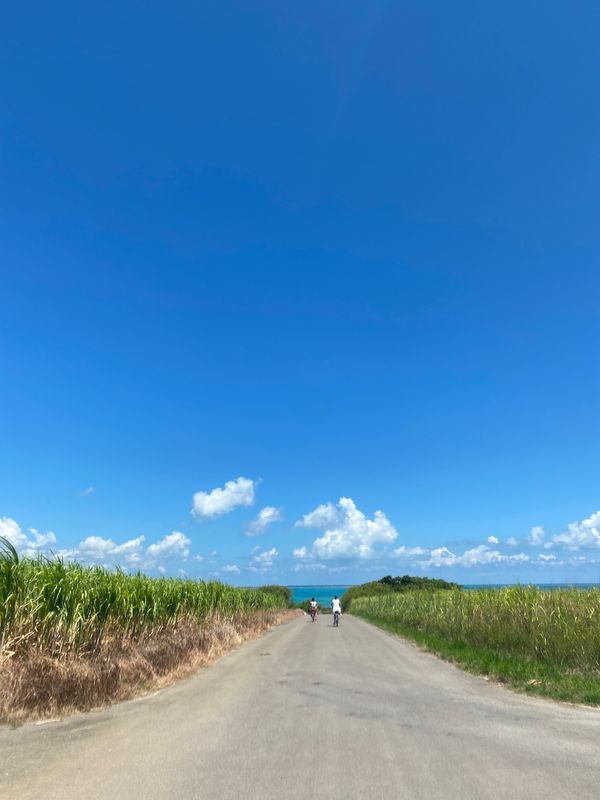 日本・沖縄県「沖縄」の写真