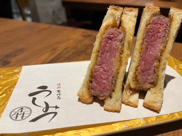 日本・神奈川県「箱根旅行」の写真