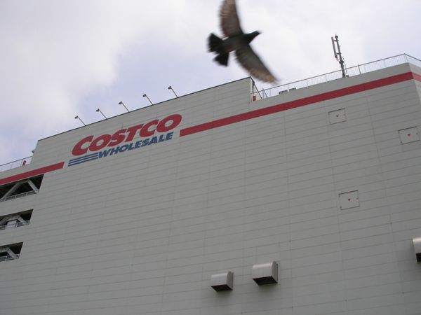 日本・千葉県「千葉県」の写真