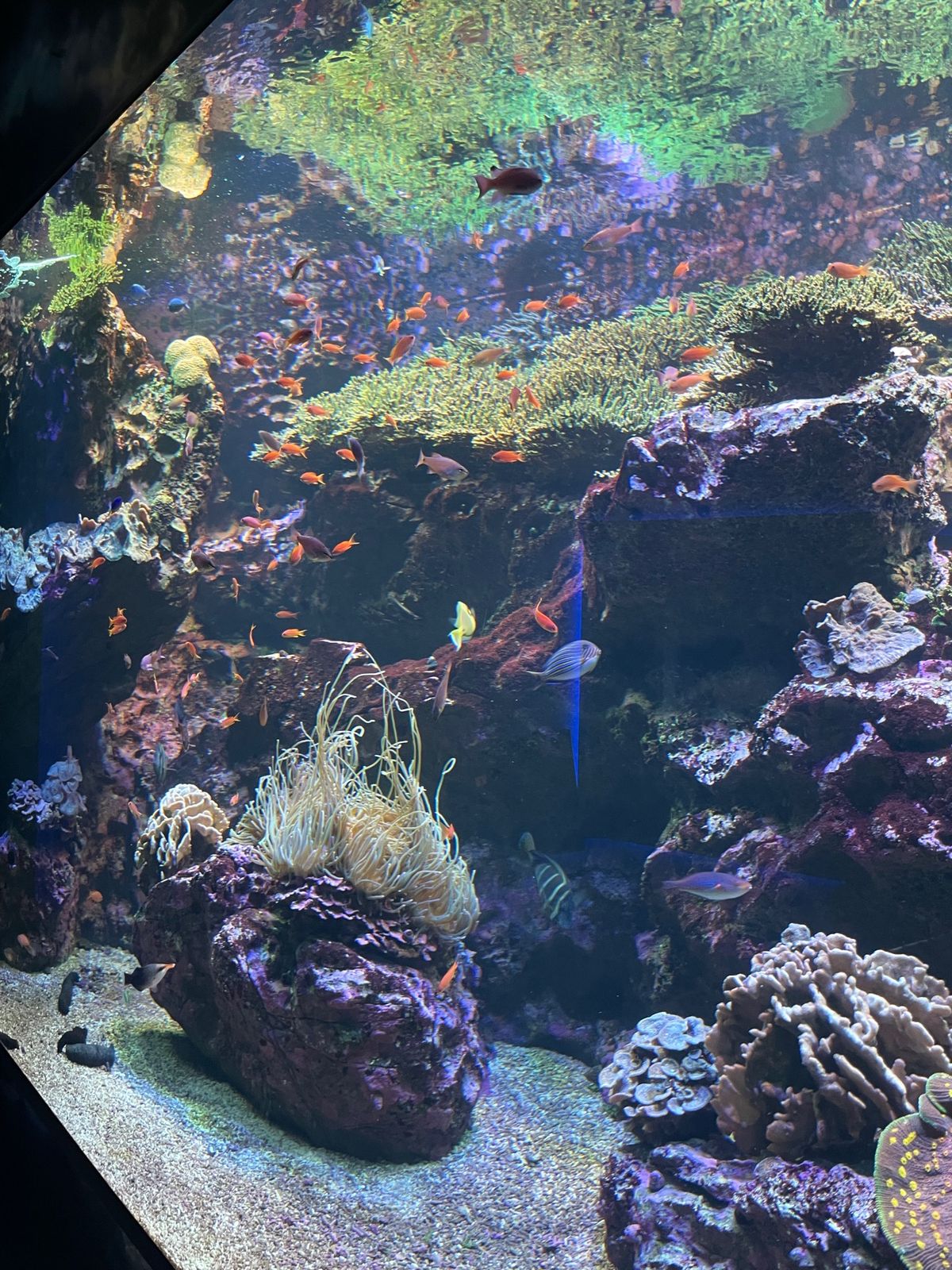 四国水族館🦭🐟