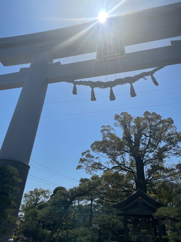 日本・香川「香川県1人旅」の写真：田村神社